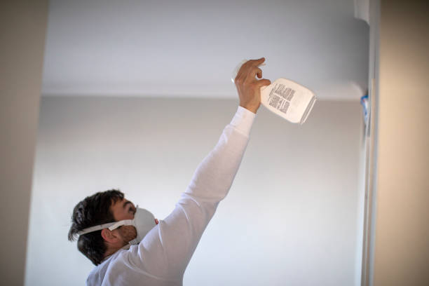 Office Mold Removal Services in Meadow Lake, NM
