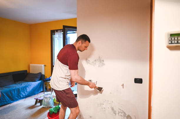 Best Fast Mold Removal  in Meadow Lake, NM